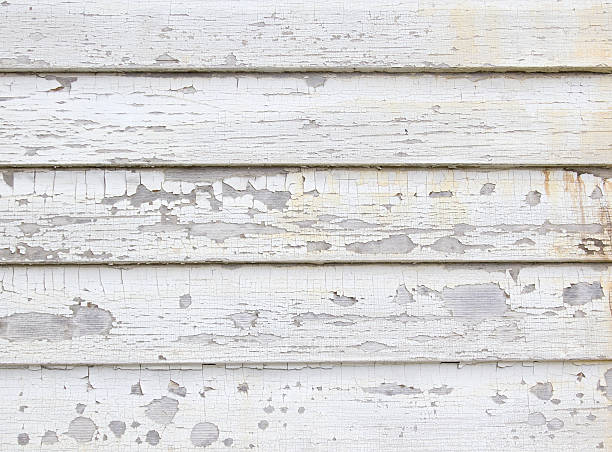Best Hoarding Cleanup  in West Perrine, FL