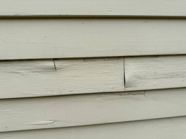 Shed Removal in West Perrine, FL